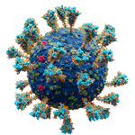 Modeling SARS-CoV-2 proteins in the CASP-commons experiment