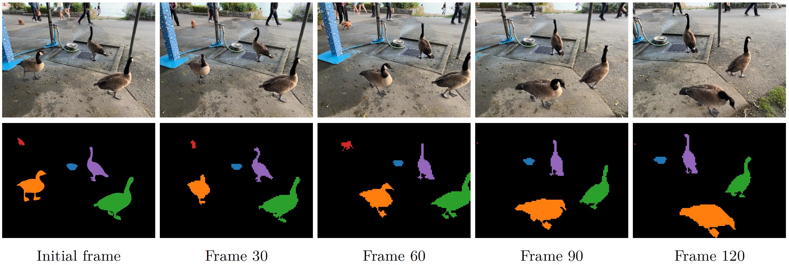 Segmentation tracking example